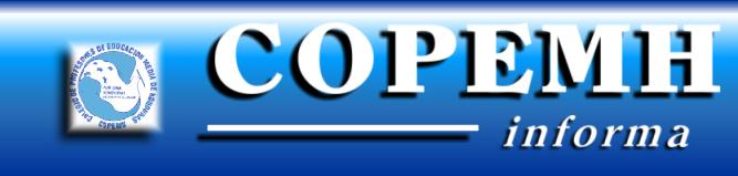 COPEMH Informa